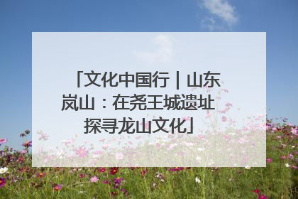 文化中国行｜山东岚山：在尧王城遗址探寻龙山文化