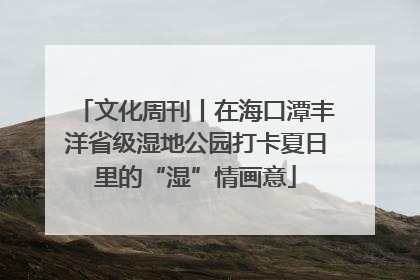 文化周刊丨在海口潭丰洋省级湿地公园打卡夏日里的“湿”情画意