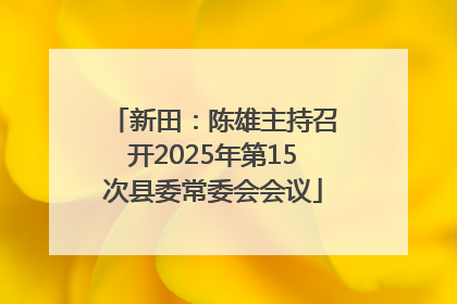 新田：陈雄主持召开2025年第15次县委常委会会议