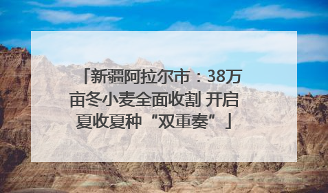 新疆阿拉尔市：38万亩冬小麦全面收割 开启夏收夏种“双重奏”