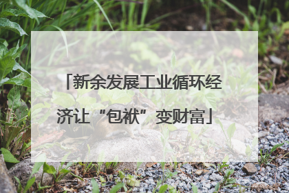 新余发展工业循环经济让“包袱”变财富