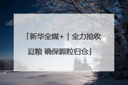新华全媒+｜全力抢收夏粮 确保颗粒归仓