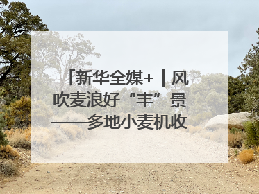 新华全媒+｜风吹麦浪好“丰”景——多地小麦机收一线见闻