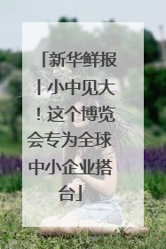 新华鲜报丨小中见大！这个博览会专为全球中小企业搭台