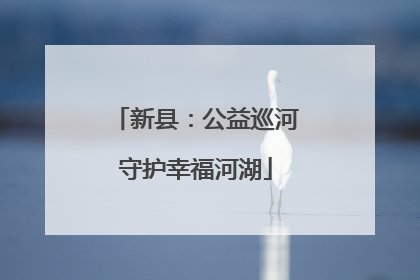 新县：公益巡河守护幸福河湖