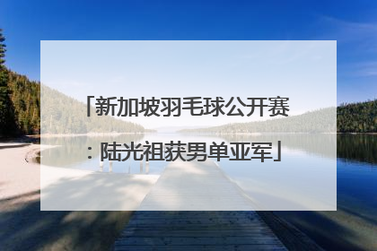 新加坡羽毛球公开赛：陆光祖获男单亚军
