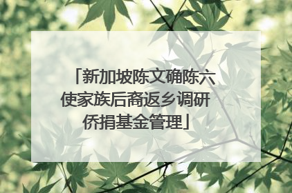 新加坡陈文确陈六使家族后裔返乡调研侨捐基金管理