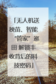 无人机送秧苗、智能“管家”巡田 解锁丰收背后的科技密码
