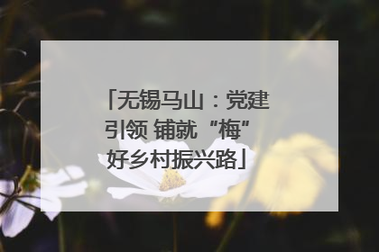 无锡马山：党建引领 铺就“梅”好乡村振兴路