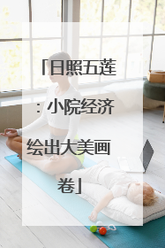 日照五莲：小院经济绘出大美画卷