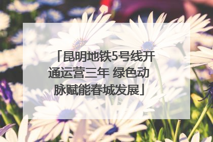 昆明地铁5号线开通运营三年 绿色动脉赋能春城发展