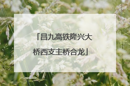 昌九高铁隆兴大桥西支主桥合龙