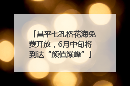 昌平七孔桥花海免费开放，6月中旬将到达“颜值巅峰”