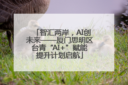 智汇两岸，AI创未来——厦门思明区台青“AI+”赋能提升计划启航