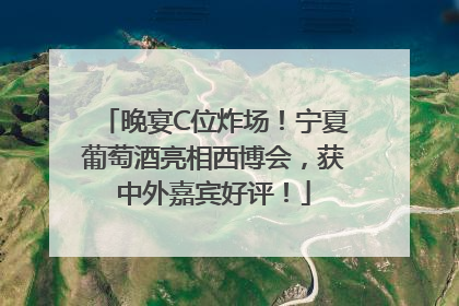 晚宴C位炸场！宁夏葡萄酒亮相西博会，获中外嘉宾好评！