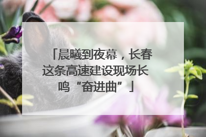 晨曦到夜幕，长春这条高速建设现场长鸣“奋进曲”