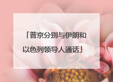 普京分别与伊朗和以色列领导人通话