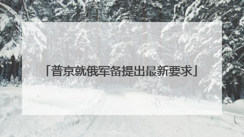 普京就俄军备提出最新要求