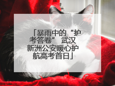暴雨中的“护考答卷” 武汉新洲公安暖心护航高考首日