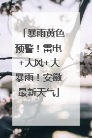 暴雨黄色预警！雷电+大风+大暴雨！安徽最新天气