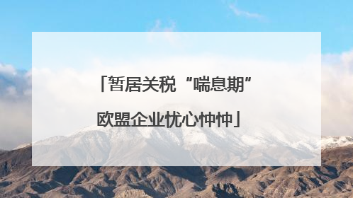 暂居关税“喘息期” 欧盟企业忧心忡忡