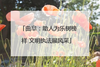 曲阜：助人为乐树榜样 文明执法展风采