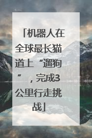 机器人在全球最长猫道上“遛狗”，完成3公里行走挑战