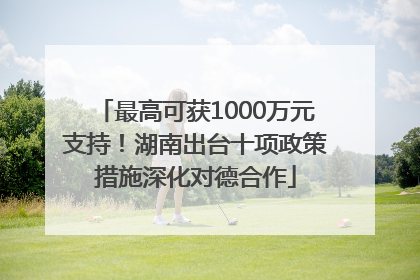 最高可获1000万元支持！湖南出台十项政策措施深化对德合作
