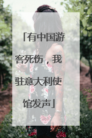 有中国游客死伤，我驻意大利使馆发声