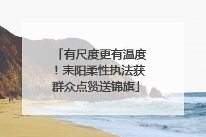 有尺度更有温度！耒阳柔性执法获群众点赞送锦旗