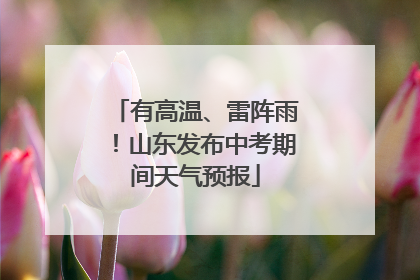 有高温、雷阵雨！山东发布中考期间天气预报
