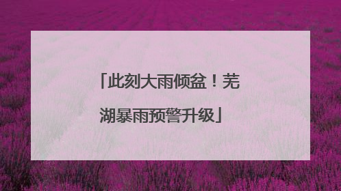 此刻大雨倾盆！芜湖暴雨预警升级