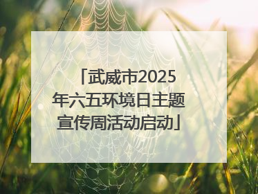 武威市2025年六五环境日主题宣传周活动启动