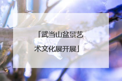 武当山盆景艺术文化展开展
