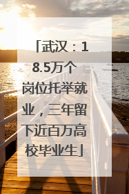 武汉：18.5万个岗位托举就业，三年留下近百万高校毕业生