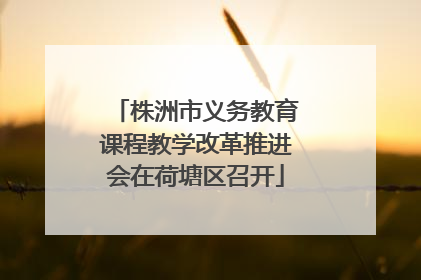株洲市义务教育课程教学改革推进会在荷塘区召开