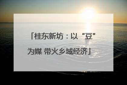 桂东新坊：以“豆”为媒 带火乡域经济