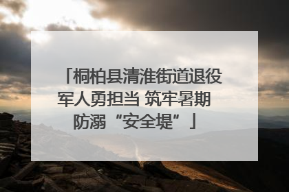 桐柏县清淮街道退役军人勇担当 筑牢暑期防溺“安全堤”