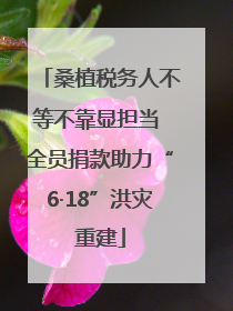 桑植税务人不等不靠显担当 全员捐款助力“6·18”洪灾重建