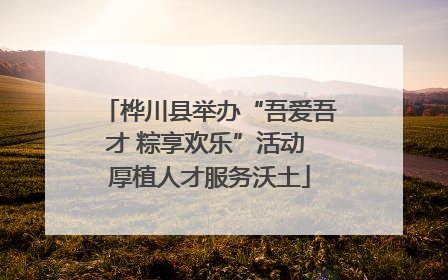 桦川县举办“吾爱吾才 粽享欢乐”活动 厚植人才服务沃土