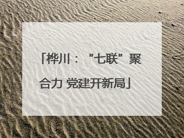 桦川：“七联”聚合力 党建开新局
