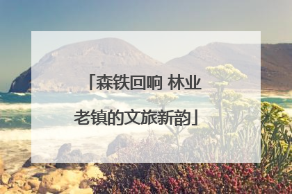森铁回响 林业老镇的文旅新韵