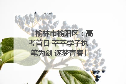 榆林市榆阳区：高考首日 莘莘学子执笔为剑 逐梦青春