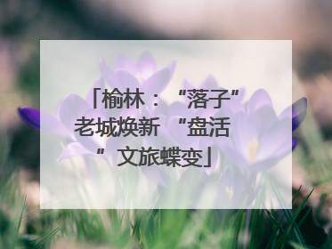 榆林：“落子”老城焕新 “盘活”文旅蝶变