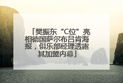 樊振东“C位”亮相德国萨尔布吕肯海报，俱乐部经理透露其加盟内幕
