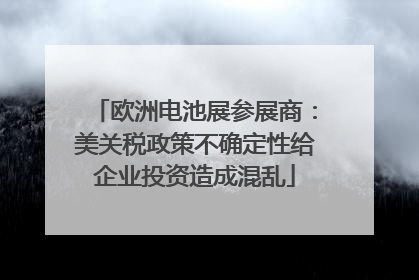 欧洲电池展参展商：美关税政策不确定性给企业投资造成混乱
