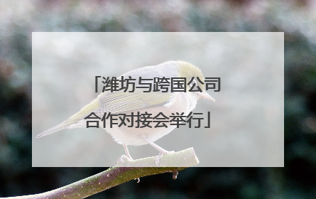 潍坊与跨国公司合作对接会举行