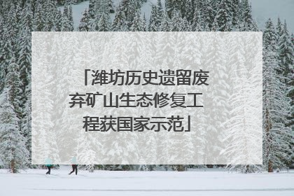 潍坊历史遗留废弃矿山生态修复工程获国家示范