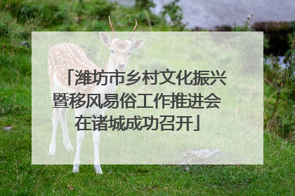 潍坊市乡村文化振兴暨移风易俗工作推进会在诸城成功召开