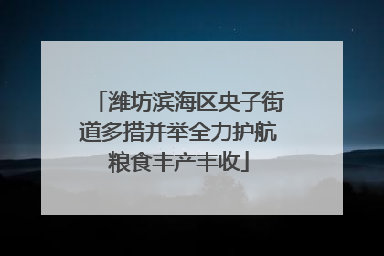 潍坊滨海区央子街道多措并举全力护航粮食丰产丰收